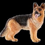 Schleich 16831 Německý ovčák – Zboží Dáma