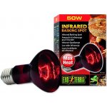 Hagen Exo Terra žárovka Infrared Basking Spot 50 W – Zboží Dáma