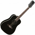 Eko guitars NXT A100ce – Zbozi.Blesk.cz