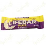 Lifefood Lifebar RAW Bio 47 g – Zbozi.Blesk.cz