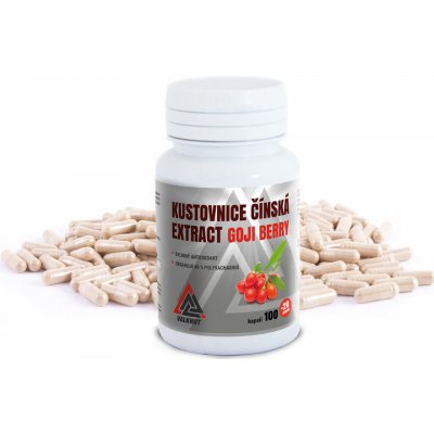 Valknut Goji Berry Kustovnice čínská extrakt 120 kapslí – Hledejceny.cz