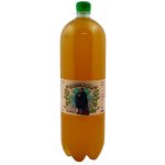 Stevikom Kombucha Meduňka 2 l – Zbozi.Blesk.cz