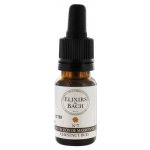 Bachovy květové Bio esence Poupě jírovce Chestnut Bud 10 ml – Hledejceny.cz