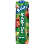 Relax Exotica Kaktus 1 l – Zboží Dáma