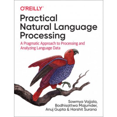 Practical Natural Language Processing – Zbozi.Blesk.cz