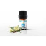 BEWIT Eukalyptus Esenciální olej 5 ml – Hledejceny.cz