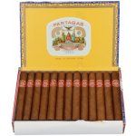 PARTAGAS MILLE FLEURS 25 ks – Zboží Mobilmania