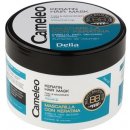 Delia Cosmetics Cameleo BB keratinová maska pro jemné a zplihlé vlasy 200 ml