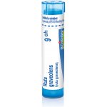 RUTA GRAVEOLENS POR 9CH GRA 4G – Hledejceny.cz