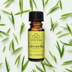 Phytos Citronella 100% esenciální olej 10 ml – Hledejceny.cz