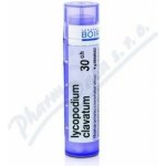 LYCOPODIUM CLAVATUM POR 30CH GRA 1X4G – Hledejceny.cz