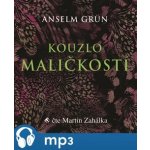 Kouzlo maličkostí - Grün Anselm – Zboží Dáma