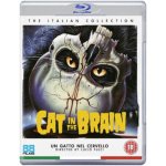 Cat in the Brain BD – Hledejceny.cz