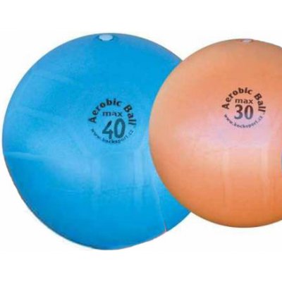 AEROBICBALL 30cm – Hledejceny.cz