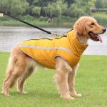 Surtep Animals Zimní bunda voděodolná Paw – Sleviste.cz