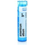 ARSENICUM ALBUM POR 9CH GRA 1X4G – Hledejceny.cz