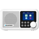 Blaupunkt DR 8WH – Hledejceny.cz