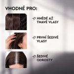 Plantur 39 Šampon s Anti-Grey efektem 200 ml – Zboží Dáma