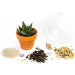 Gardners Aerárium koule 12 cm Osázej si sám – Hledejceny.cz