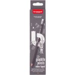 Bruynzeel 60311012 12 ks – Zboží Živě