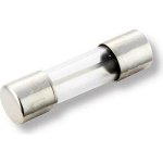 Pojistka trubičková skleněná F 10,0A 250V 5x20mm – Sleviste.cz