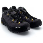 Salewa Alp Trainer 2 Gtx Shoe M onyx black šedá – Hledejceny.cz