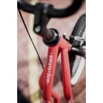 Yedoo Amsterdam red – Hledejceny.cz