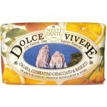 Nesti Dante Dolce Vivere mýdlo Capri 250 g – Zbozi.Blesk.cz