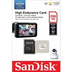 SanDisk microSDHC 256 GB SDSQQNR-256G-GN6IA – Zbozi.Blesk.cz