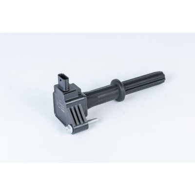 Zapalovací cívka BorgWarner (BERU) ZSE235 – Hledejceny.cz