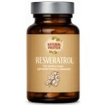 Natural Protein Resveratrol 60 kapslí – Hledejceny.cz