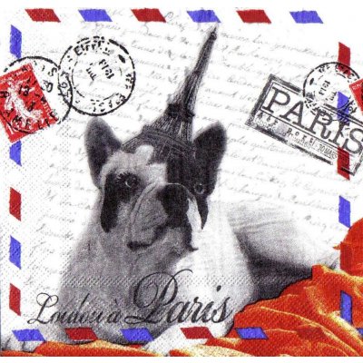 Ubrousek 33x33cm Paříž – Zboží Mobilmania