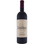 Weingut Umathum Haideboden 2016 12% 0,75 l (holá láhev) – Hledejceny.cz