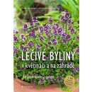 Kniha Léčivé byliny v květináči a na zahradě - Heide Bergmann