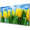 Obraz akrylový obraz Tulipány Květiny 100x50 cm
