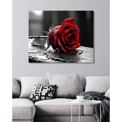 ZUTY Obrazy na stěnu - Červená růže Rozměr: 40x50 cm, Rámování: vypnuté plátno na rám – Zboží Mobilmania