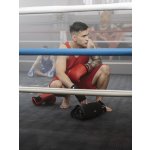 Rixon Big Boss – Zboží Živě