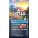 Ontario Puppy & Junior All Breeds Monoprotein Tuna & Sweet Potatoes 13 kg – Hledejceny.cz