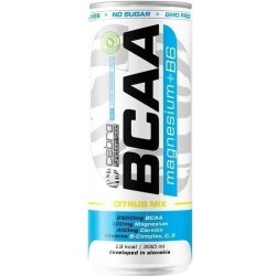 Cebra CFF BCAA Mg + B6 330 ml