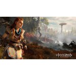 Horizon: Zero Dawn – Zboží Dáma