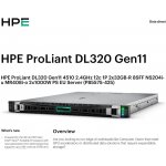 HP Enterprise HPE DL320 G11 P85575-425 – Zboží Živě