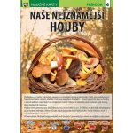 Naše nejznámější houby - Naučné karty – Hledejceny.cz