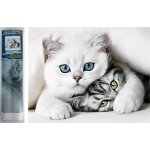 Norimpex Diamantové malování Kočičí tajemství 30 x 40 cm – Sleviste.cz