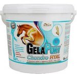 Orling Gelapony Chondro HYAL 1,8 kg – Hledejceny.cz