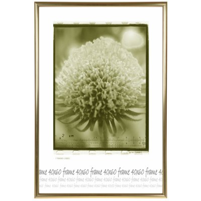 Tradag Rámeček zlatý UH 40x60 – Zboží Mobilmania