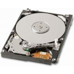 Seagate Momentus 5400.6 250GB, 2,5", 5400rpm, SATAII, 8MB, ST9250315AS – Hledejceny.cz