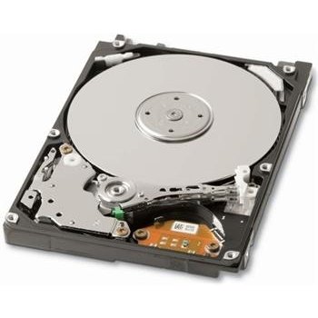 Seagate Momentus 5400.6 250GB, 2,5", 5400rpm, SATAII, 8MB, ST9250315AS