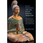 Black Buddhists and the Black Radical Tradition – Hledejceny.cz