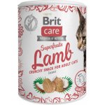 Brit Care Snack Superfruits Lamb Adult 100 g – Zboží Mobilmania