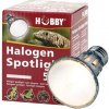 Žárovka do terárií Hobby Diamond Halogen Spotlight 50 W